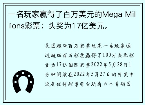 一名玩家赢得了百万美元的Mega Millions彩票；头奖为17亿美元。